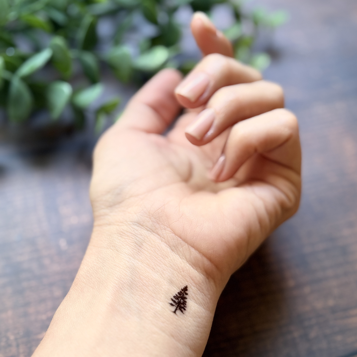 Mountain Temporary Tattoo Pack ⛰️